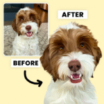 Custom Paw traits: Turning Your Dog’s Personality into Timeless Art